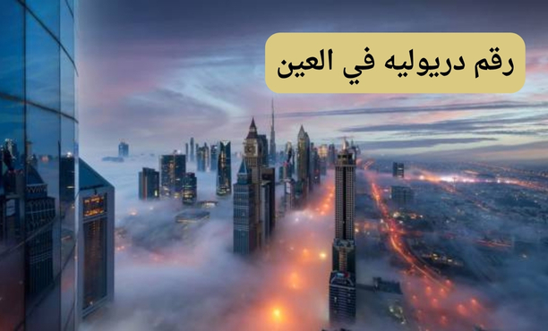 رقم دريوليه في العين رقم دريوليه في العين