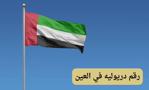 كيف تتم عملية التوظيف للسائقين في كارلفت دبي رقم دريوليه العين؟ كيف تتم عملية التوظيف للسائقين في كارلفت دبي رقم دريوليه العين؟
