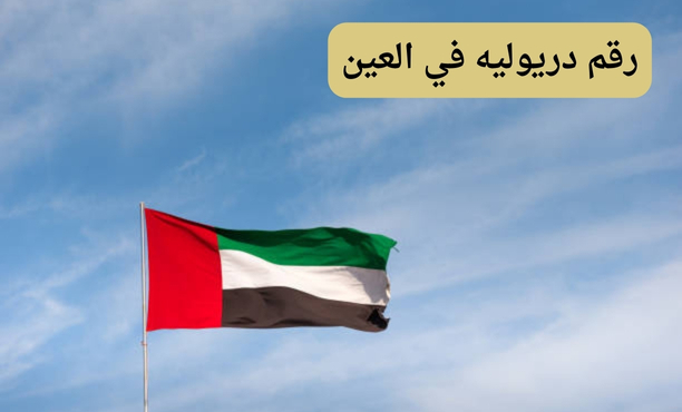 رقم دريوليه في العين رقم دريوليه في العين